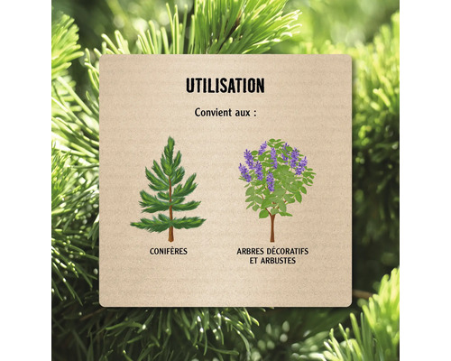 Représentation symbolique de l''utilisation pour les conifères, les arbres d''ornement et les arbustes