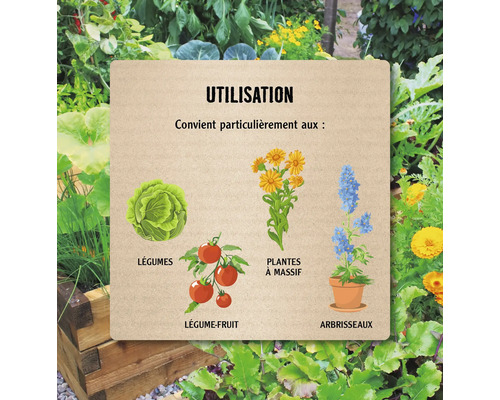 Illustration pour l''utilisation avec des légumes, des plantes de massifs, des légumes-fruits et des arbustes.