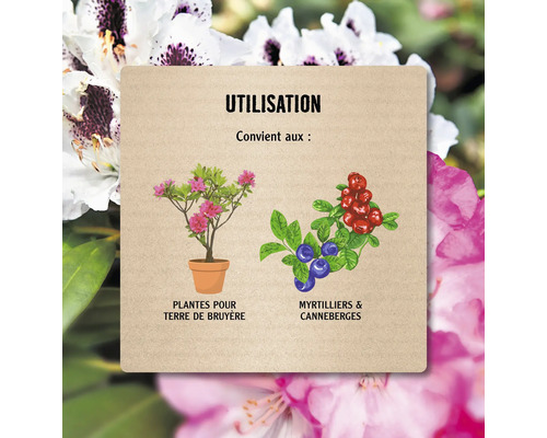 Conseils d''utilisation pour plantes de terre de bruyère, myrtilles et canneberges