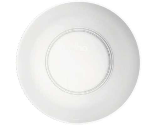 Assiette plate blanche