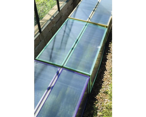 Gewächshaus mit Polycarbonatplatten und farbigen Rahmen