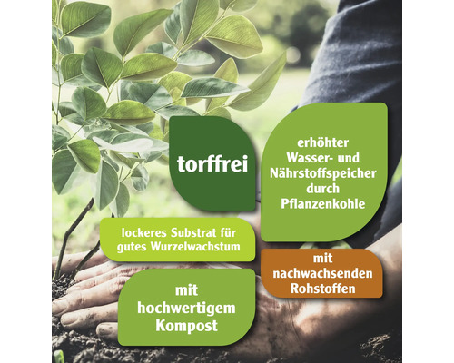 Torffreie Blumenerde mit erhöhtem Wasser- und Nährstoffspeicher durch Pflanzenkohle, lockerem Substrat für gutes Wurzelwachstum, hochwertigem Kompost und nachwachsenden Rohstoffen.