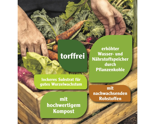 Gemüsekiste mit torffreier Erde, erhöhtem Wasser- und Nährstoffspeicher, Pflanzenkohle, Substrat für gutes Wurzelwachstum, hochwertigem Kompost und nachwachsenden Rohstoffen