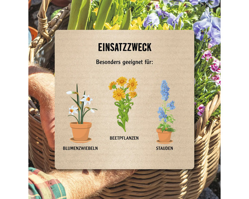 Informationstafel mit dem Einsatzzweck verschiedener Pflanzenarten: Blumenzwiebeln, Beetpflanzen und Stauden.