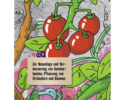 Illustration von Gemüsebeet-Anlage und Pflanzung von Sträuchern und Bäumen
