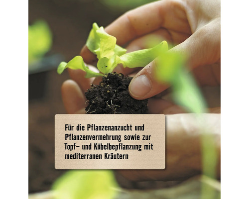 Pflanzenanzucht und Pflanzenvermehrung für Topf- und Kübelbepflanzung