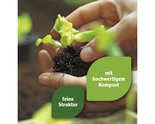 Hände halten Setzling mit Erde und Kompost