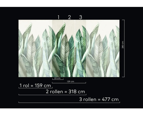 Papier peint photo avec motif de feuilles et indications de taille