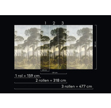 Dimensions du papier peint photo forêt avec arbres