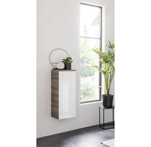 Armoire suspendue avec porte et plantes comme décoration devant une fenêtre.