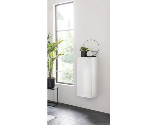 Salle de bain moderne avec armoire suspendue brillante, plante et miroir