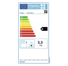 Étiquette énergétique Vaillant VGR 50/4 X avec classe d'efficacité énergétique D et 5,3 kilowatts