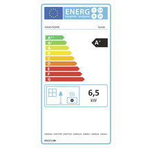 Étiquette énergétique pour Haas Sohn Solido avec classe d'efficacité énergétique A+ et 6,5 kilowatts