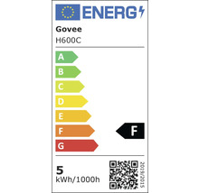 Govee H600C Energielabel F