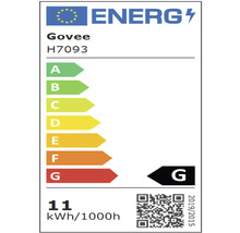 Govee Energieeffizienzlabel H7093