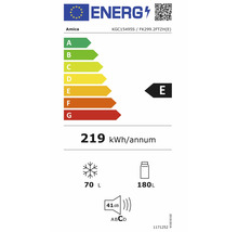 EU-Energielabel Amica Kühlschrank KGC15495S. Klasse E, 219 Kilowattstunden pro Jahr, 180 Liter Kühlen, 70 Liter Gefrieren, 41 Dezibel.