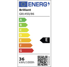 Étiquette énergétique européenne Brilliant G81450/86, classe E, consommation 36 kilowattheures pour 1000 heures.
