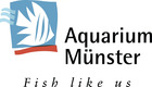 Aquarium Münster Aquarium Münster