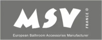 MSV