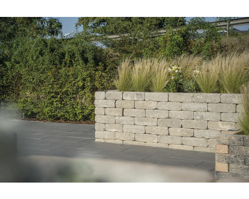 Mur de jardin en pierre avec plantations pour un espace extérieur organisé.