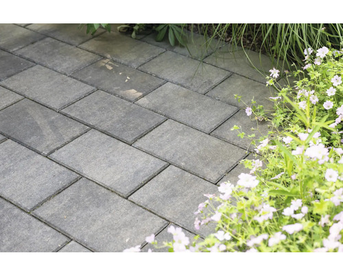 Rechteckige Pflastersteine auf einem Gartenweg neben Blumen