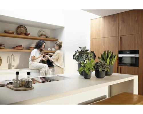 Cuisine claire avec des éléments en bois, des plantes d''intérieur et deux femmes préparant du café.