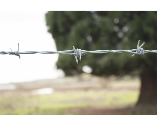 Clôture en fil barbelé à l''extérieur