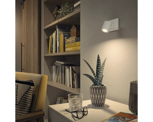 Pièce à vivre avec applique murale, étagère et plante d''intérieur sur une table