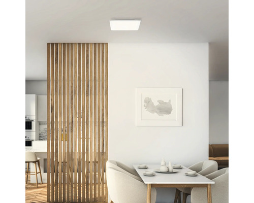 Wohnraum mit Deckenleuchte, Esstisch und Raumteiler