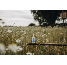 Spray anti-insectes sur un morceau de bois dans un champ de fleurs