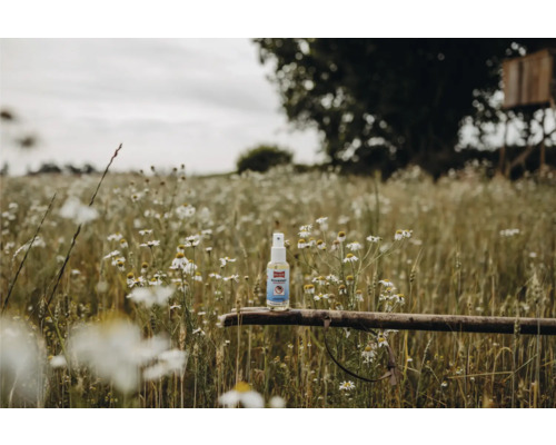 Spray anti-insectes sur un morceau de bois dans un champ de fleurs