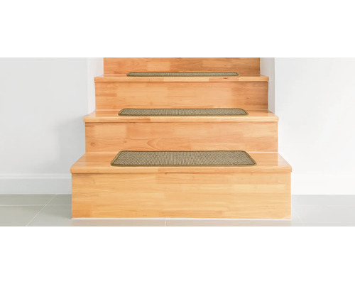 Escalier en bois avec tapis d''escalier