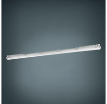 LED Feuchtraumwannenleuchte IP65 G13/T8-Röhre 1X15W 2500 lm 4000 K Clear Plus grau/transparent 126 cm