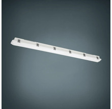 Applique LED fluo étanche pour locaux humides IP65 38W 6400 lm 4000 K General gris/blanc 149 cm