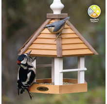 Mangeoire à oiseaux avec sittelle torchepot et pic épeiche