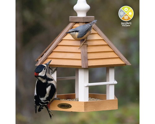 Mangeoire à oiseaux avec sittelle torchepot et pic épeiche