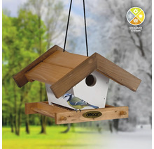 Maisonnette à oiseaux avec mésange bleue et Logo Dobar