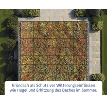 Draufsicht eines begrünten Daches, das als Schutz vor Witterungseinflüssen dient