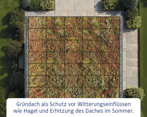 Ansicht von oben eines Gründachs mit Vegetation auf einem Dach
