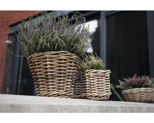 Zwei geflochtene Pflanzkörbe mit Heidekraut auf einer Fensterbank.