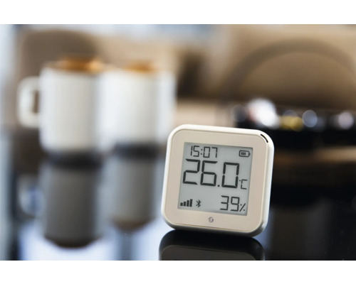 Thermomètre numérique pour mesurer la température intérieure