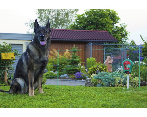 Elektrozaun für Tiere im Garten mit Wachhund