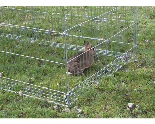 Un lapin dans un enclos sur une prairie verte.