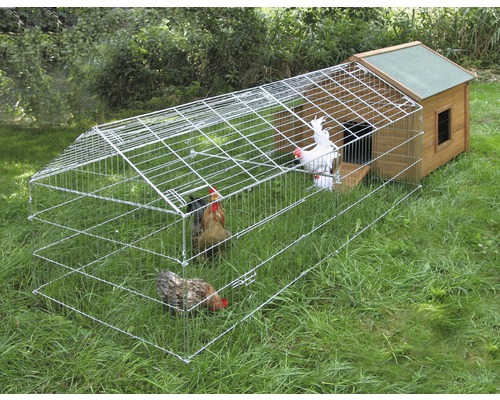Poulailler avec enclos et plusieurs poules dans un jardin.