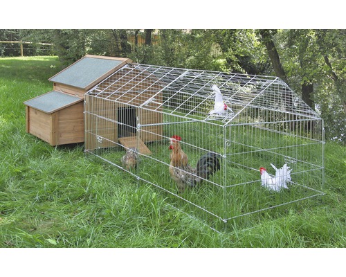 Hühnerstall mit Auslaufgehege und mehreren Hühnern im Grünen