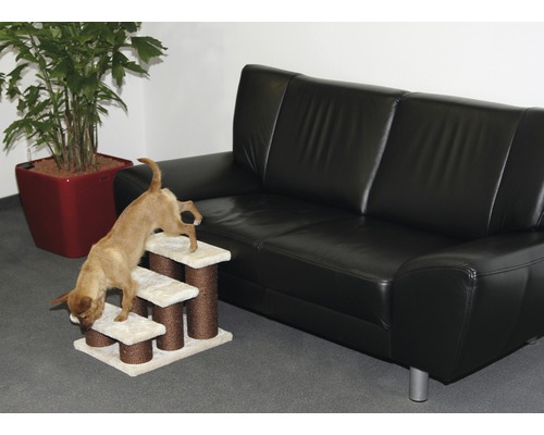 Chien utilisant un escalier à trois marches devant un canapé