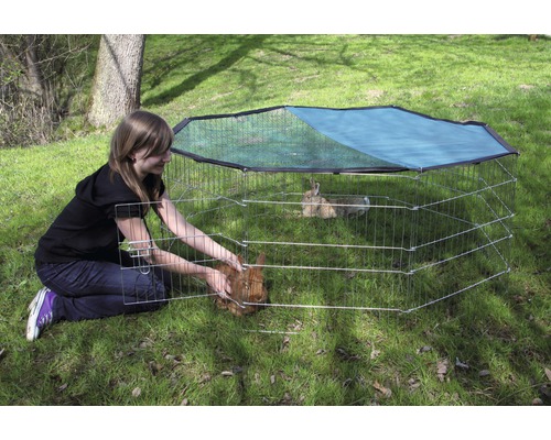 Femme avec enclos à lapins à l''extérieur avec filet de protection solaire