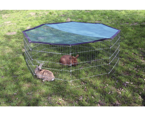 Enclos extérieur pour petits animaux avec deux lapins dans le jardin