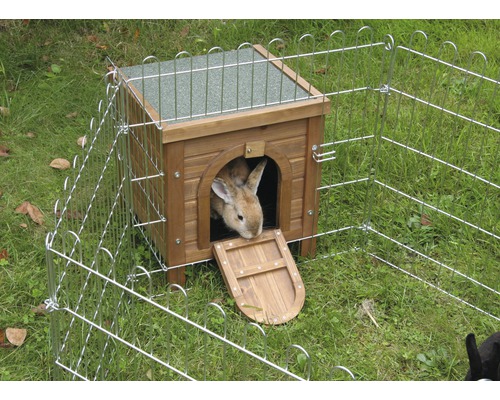 Clapier avec enclos et lapin