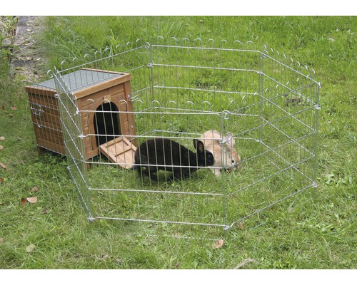 Clapier avec enclos et deux lapins dans un jardin